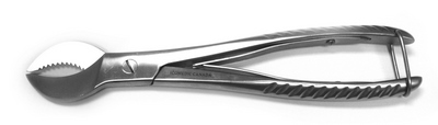 Plaster Nipper
