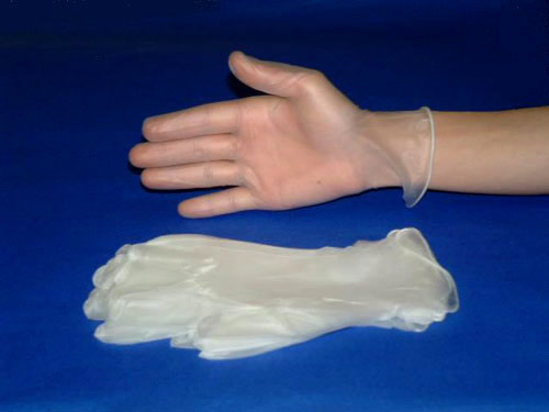 Vinyl Gloves