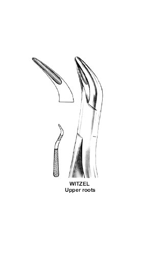 Roots Splinter Forceps. Witzed Upper Roots